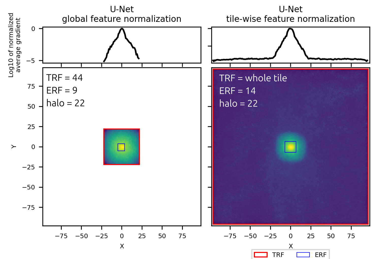 Receptive field comparison